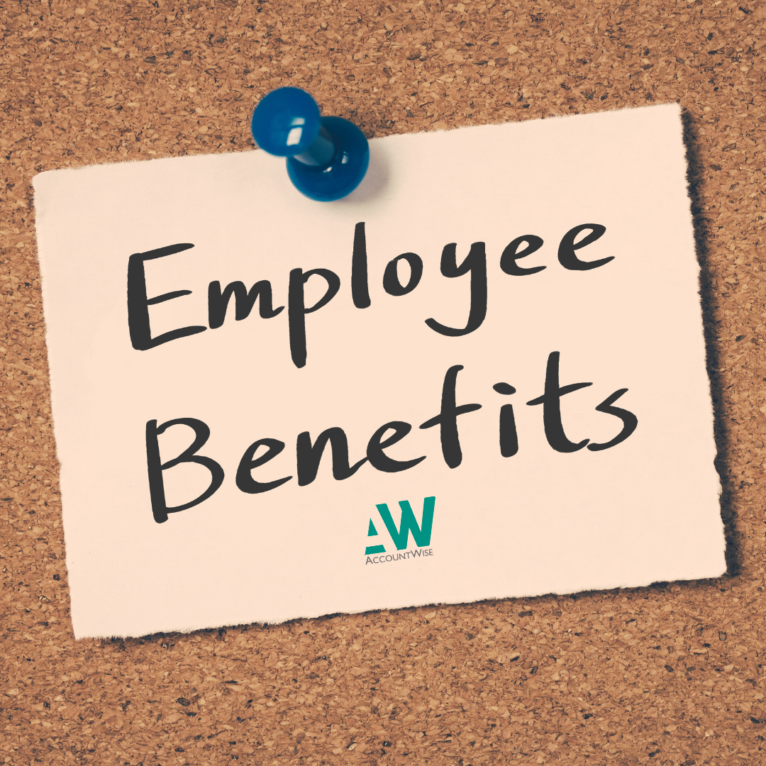Reporting 2024/25 benefits and expenses